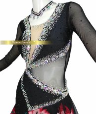 画像3: 社交ダンス モダンドレス 3136タイプ (3)