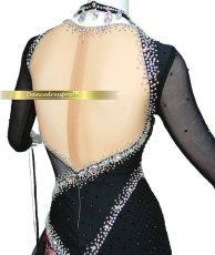 画像4: 社交ダンス モダンドレス 3136タイプ (4)