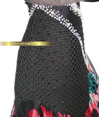 画像5: 社交ダンス モダンドレス 3136タイプ (5)