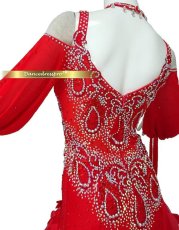 画像4: 社交ダンス モダンドレス 3138タイプ (4)