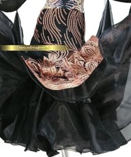 画像5: 社交ダンス モダンドレス 3139タイプ (5)