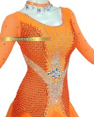 画像3: 社交ダンス モダンドレス 3143タイプ (3)