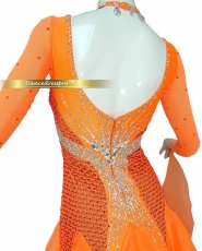 画像4: 社交ダンス モダンドレス 3143タイプ (4)