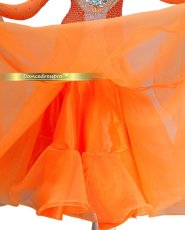 画像5: 社交ダンス モダンドレス 3143タイプ (5)