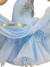 画像5: 社交ダンス モダンドレス 3144タイプ (5)