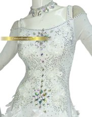 画像3: 社交ダンス モダンドレス 3146タイプ (3)