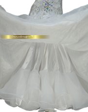 画像5: 社交ダンス モダンドレス 3146タイプ (5)