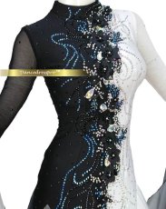 画像3: 社交ダンス モダンドレス 3147タイプ (3)