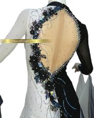 画像4: 社交ダンス モダンドレス 3147タイプ (4)