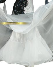 画像5: 社交ダンス モダンドレス 3147タイプ (5)