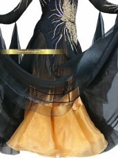 画像5: 社交ダンス モダンドレス 3149タイプ (5)