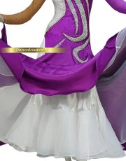 画像5: 社交ダンス モダンドレス 3155タイプ (5)