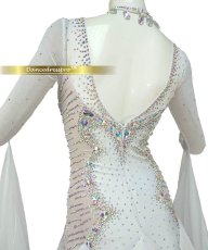 画像4: 社交ダンス モダンドレス 3157タイプ (4)