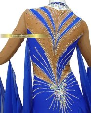 画像4: 社交ダンス モダンドレス 3159タイプ (4)