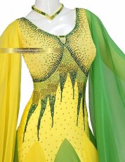 画像3: 社交ダンス モダンドレス 3160タイプ (3)