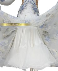 画像5: 社交ダンス モダンドレス 3161タイプ (5)