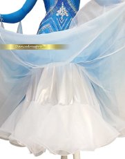 画像5: 社交ダンス モダンドレス 3162タイプ (5)