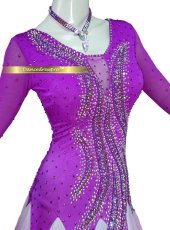 画像3: 社交ダンス モダンドレス 3164タイプ (3)