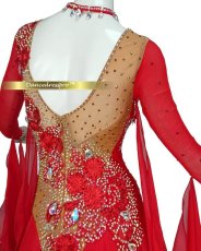 画像4: 社交ダンス モダンドレス 3165タイプ (4)