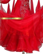 画像5: 社交ダンス モダンドレス 3165タイプ (5)