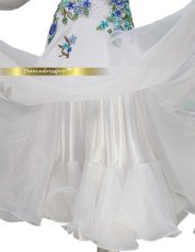 画像5: 社交ダンス モダンドレス 3170タイプ (5)