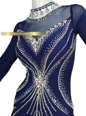 画像3: 社交ダンス モダンドレス 3174タイプ (3)