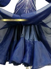 画像5: 社交ダンス モダンドレス 3174タイプ (5)