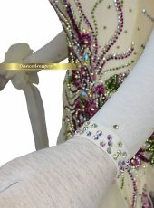 画像5: 社交ダンス モダンドレス 3175タイプ (5)