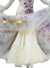 画像6: 社交ダンス モダンドレス 3175タイプ (6)