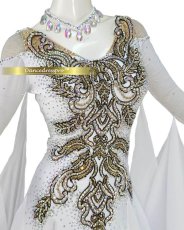 画像3: 社交ダンス モダンドレス 3179タイプ (3)