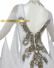 画像4: 社交ダンス モダンドレス 3179タイプ (4)