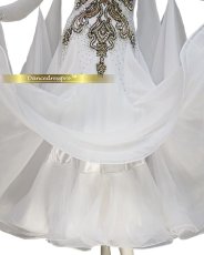 画像5: 社交ダンス モダンドレス 3179タイプ (5)