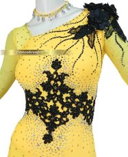 画像3: 社交ダンス モダンドレス 3181タイプ (3)