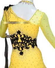 画像4: 社交ダンス モダンドレス 3181タイプ (4)