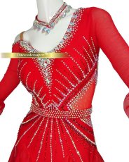 画像3: 社交ダンス モダンドレス 3183タイプ (3)