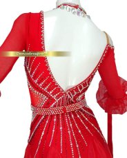 画像4: 社交ダンス モダンドレス 3183タイプ (4)