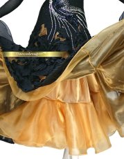 画像5: 社交ダンス モダンドレス 3186タイプ (5)