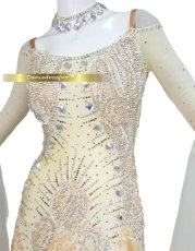 画像3: 社交ダンス モダンドレス 3187タイプ (3)