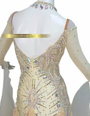 画像4: 社交ダンス モダンドレス 3187タイプ (4)