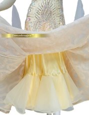 画像5: 社交ダンス モダンドレス 3187タイプ (5)