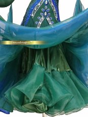 画像5: 社交ダンス モダンドレス 3190タイプ (5)