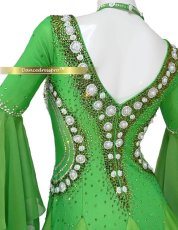 画像4: 社交ダンス モダンドレス 3196タイプ (4)