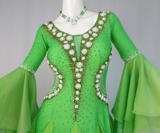 画像6: 社交ダンス モダンドレス 3196タイプ (6)