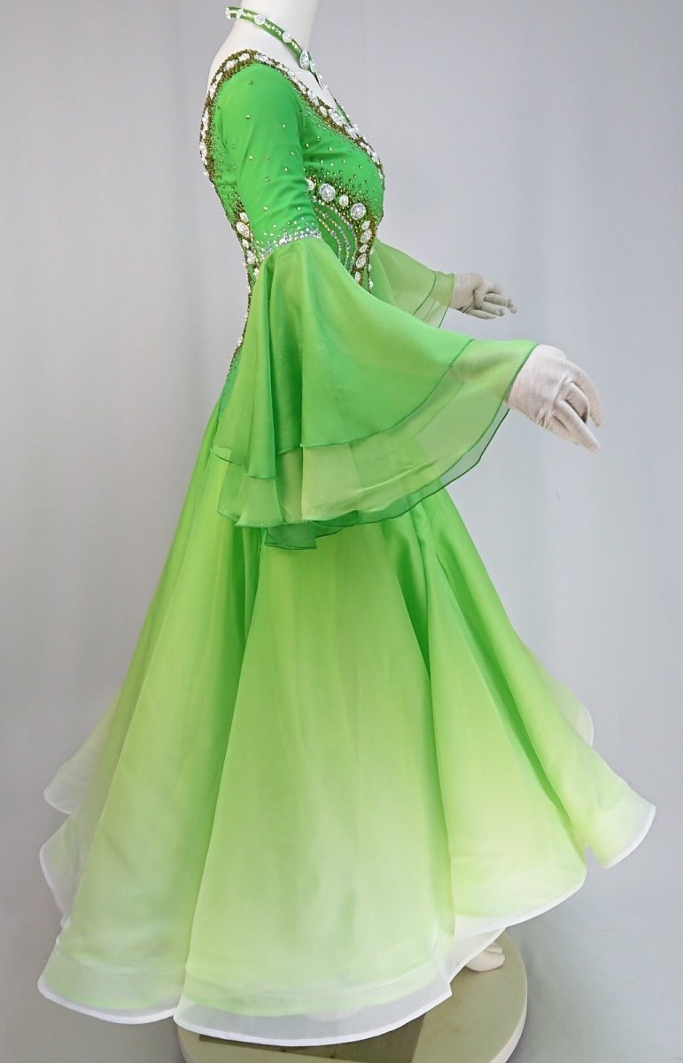 画像7: 社交ダンス モダンドレス 3196タイプ (7)