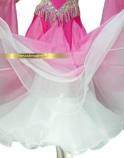 画像5: 社交ダンス モダンドレス 3200タイプ (5)