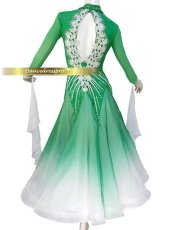 画像2: 社交ダンス モダンドレス 3204タイプ (2)