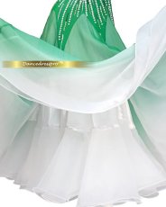 画像5: 社交ダンス モダンドレス 3204タイプ (5)