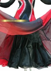 画像5: 社交ダンス モダンドレス 3207タイプ (5)