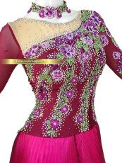 画像3: 社交ダンス モダンドレス 3208タイプ (3)