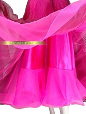 画像5: 社交ダンス モダンドレス 3208タイプ (5)